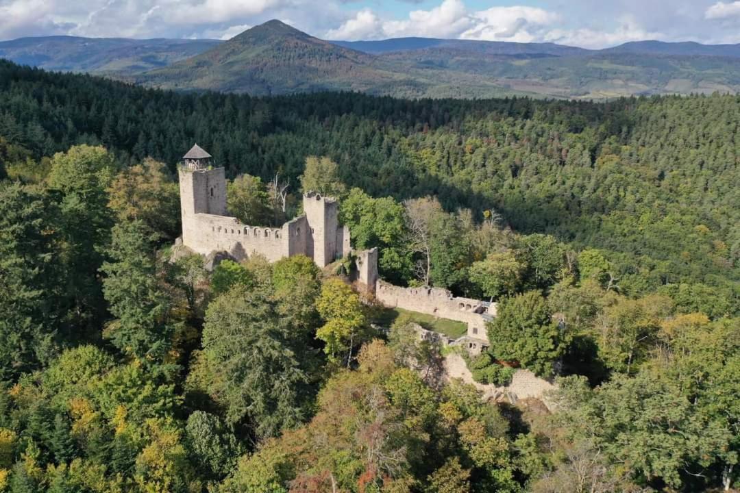 Le P'Tit Coin De Chez Nous Villa Dambach-la-Ville Luaran gambar