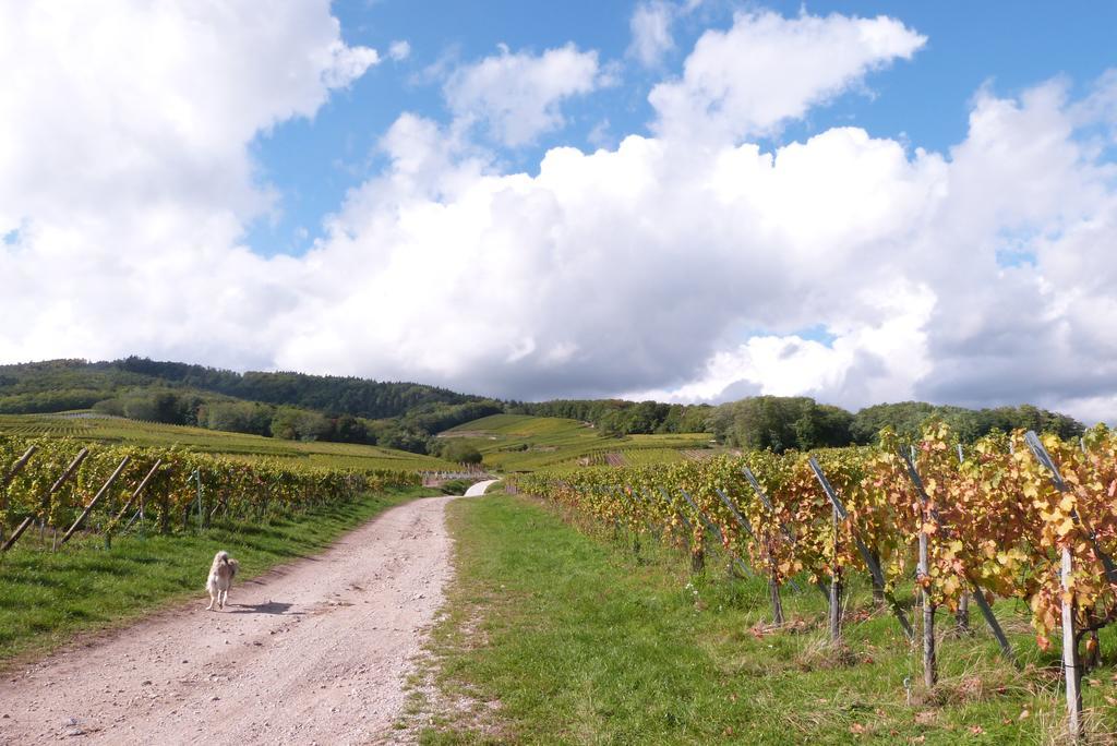 Le P'Tit Coin De Chez Nous Villa Dambach-la-Ville Luaran gambar