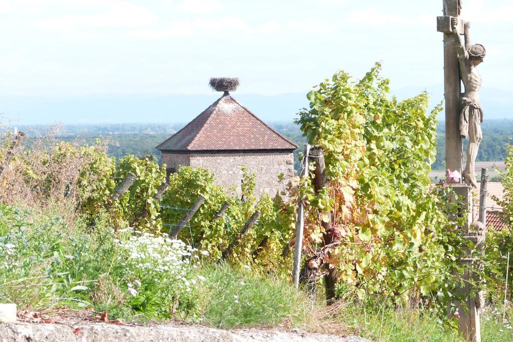 Le P'Tit Coin De Chez Nous Villa Dambach-la-Ville Luaran gambar