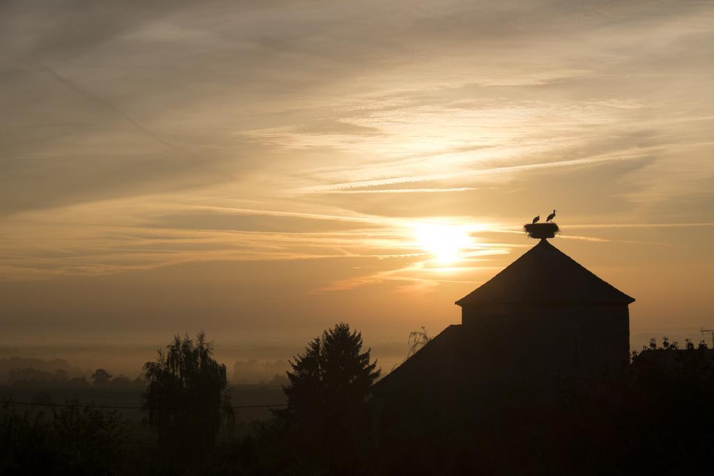 Le P'Tit Coin De Chez Nous Villa Dambach-la-Ville Luaran gambar