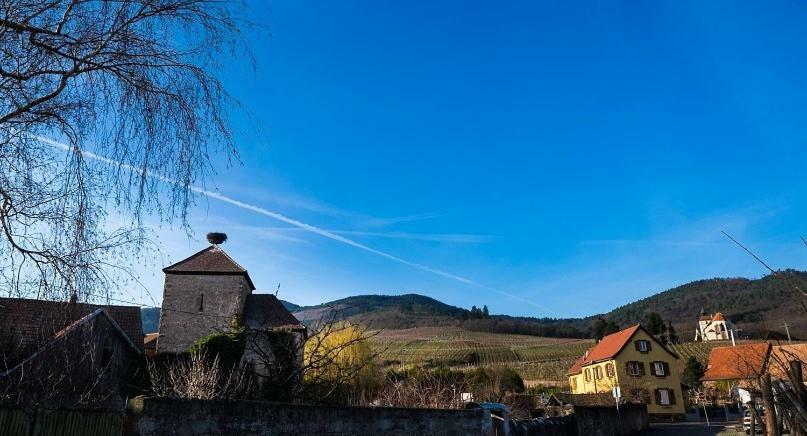 Le P'Tit Coin De Chez Nous Villa Dambach-la-Ville Luaran gambar